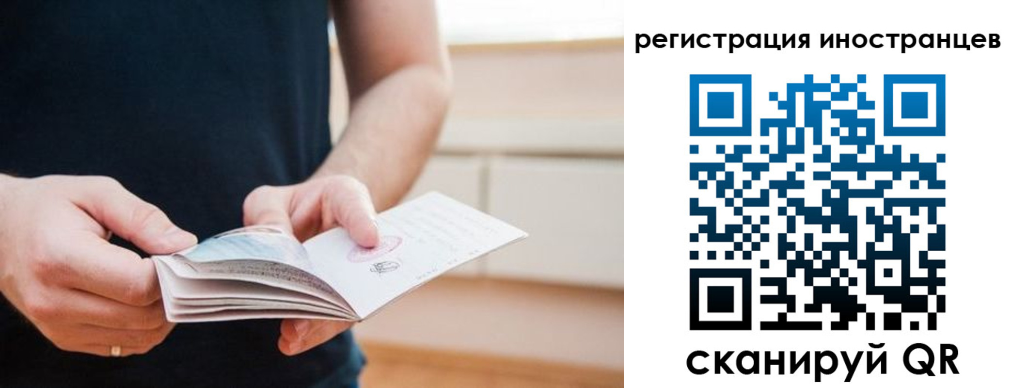 временная регистрация недорого в Светлом
